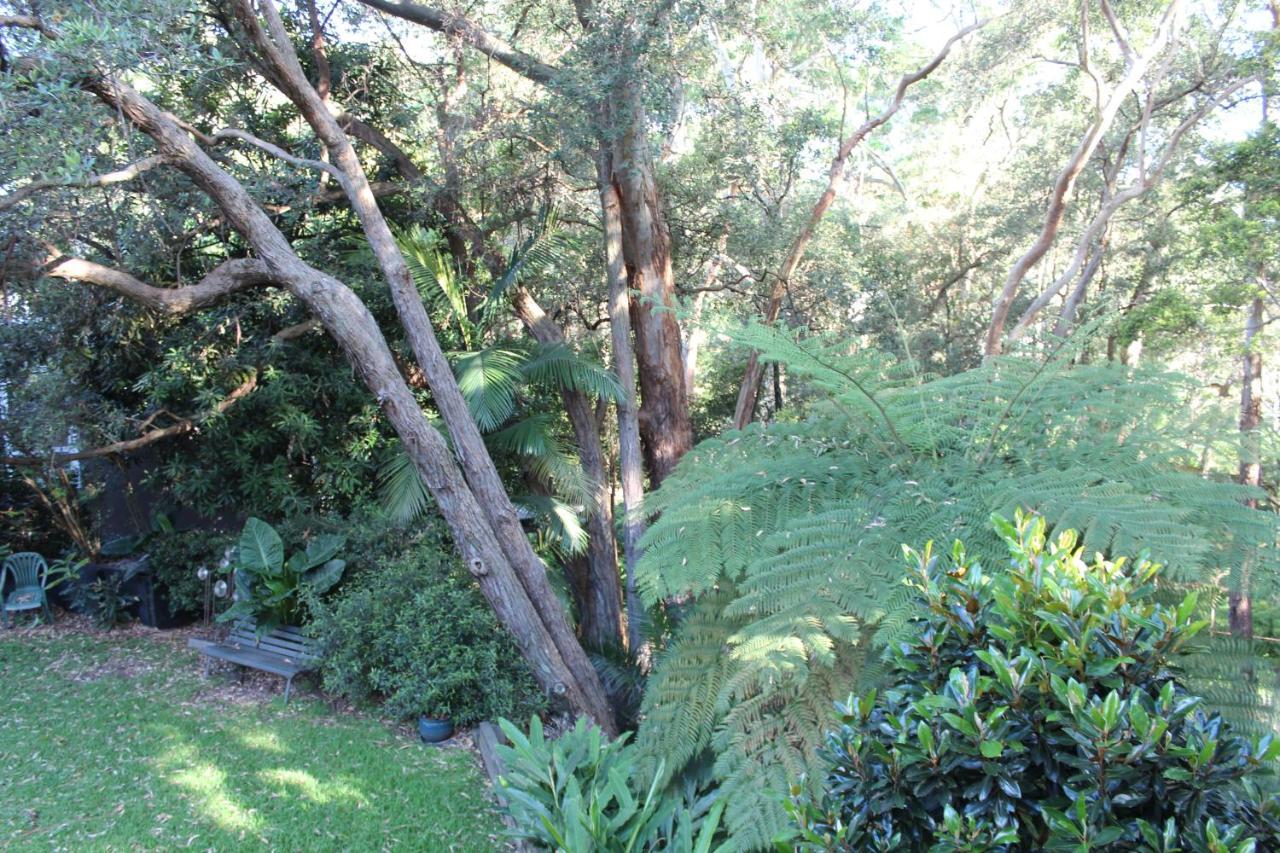 Bushland Setting Close To Sydney Cbd- Stand Alone Apartment Экстерьер фото